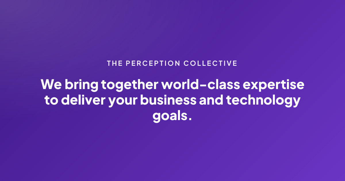 Tech Strategy & Custom Platforms | The Perception Collective
