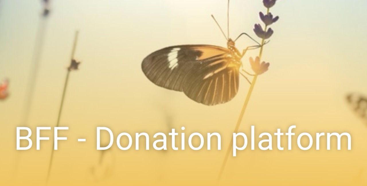 BFF 4 Change donation platform branding: butterfly on lavender at sunset with title text